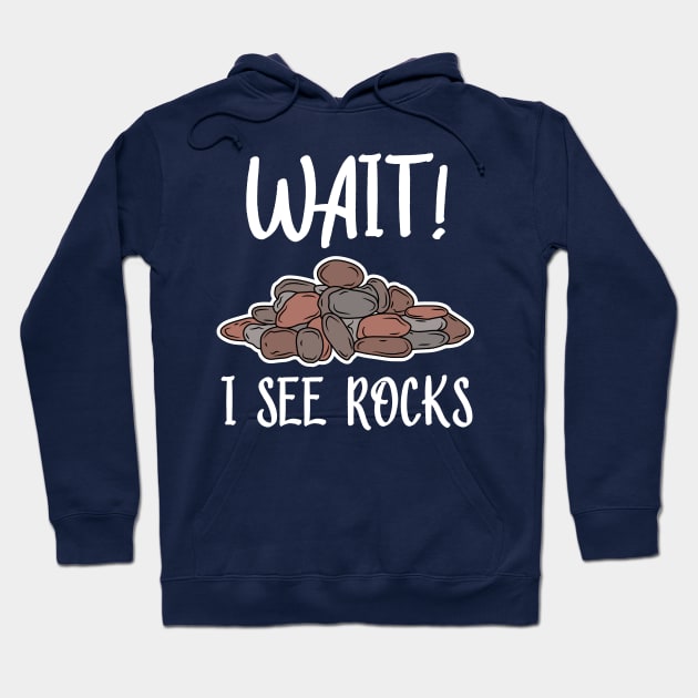 Wait! I See Rocks, Funny Geologist Hoodie by KawaiinDoodle